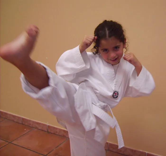 Miami Taekwondo School Picture 10