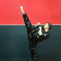 Master Velazquez Tae Kwon DO ico