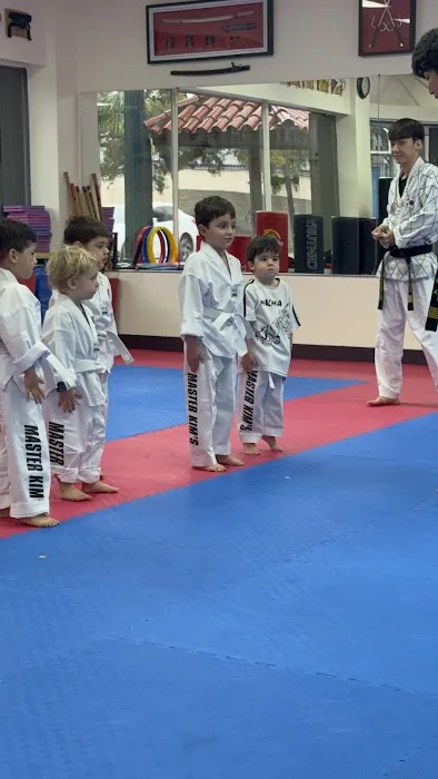 Master Kim's Taekwondo & Hapkido Miami Picture 1