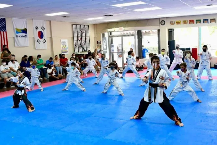 Master Kim's Taekwondo & Hapkido Miami Picture 5