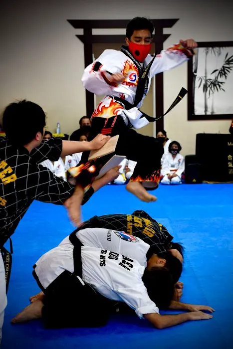 Master Kim's Taekwondo & Hapkido Miami Picture 3