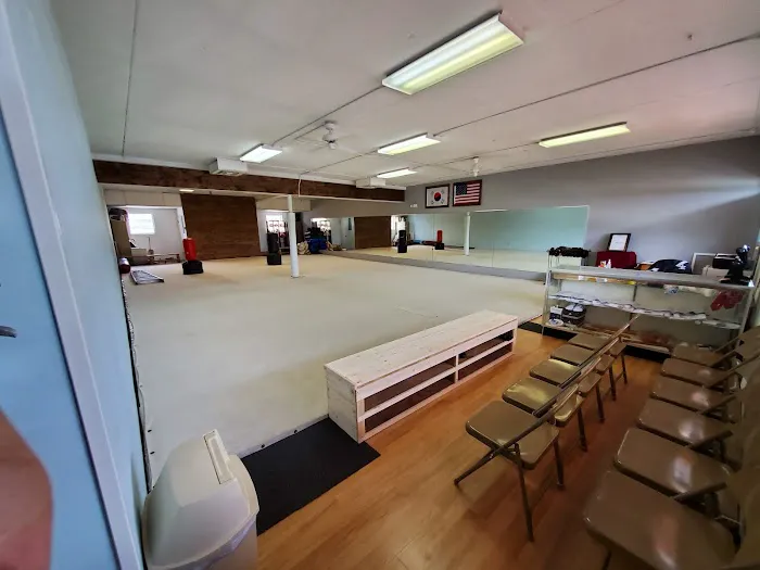 Palmetto Bay Taekwondo Center Picture 4