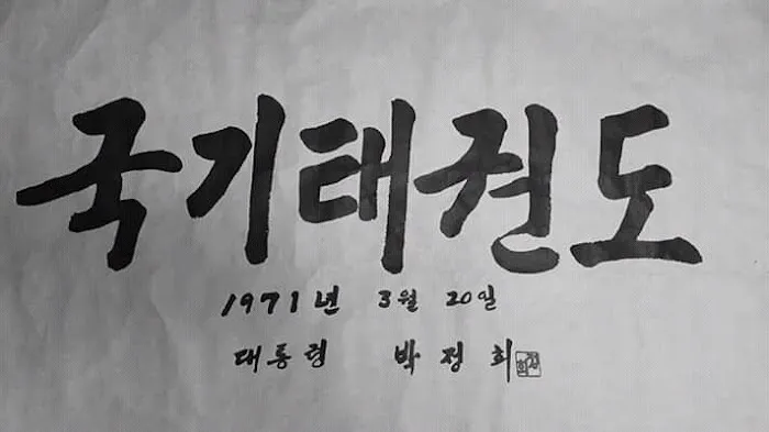 Palmetto Bay Taekwondo Center Picture 6