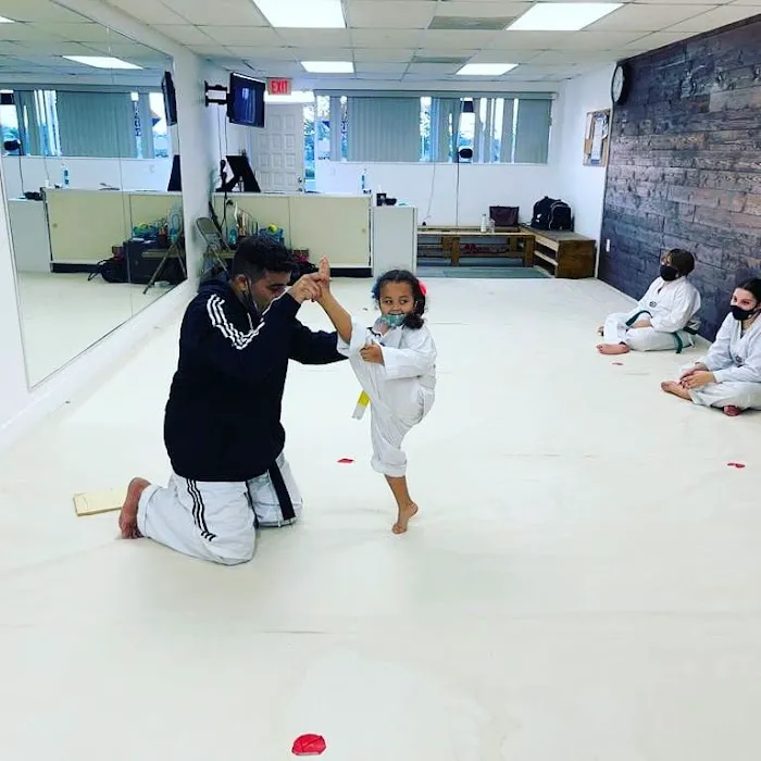 Palmetto Bay Taekwondo Center Picture 10