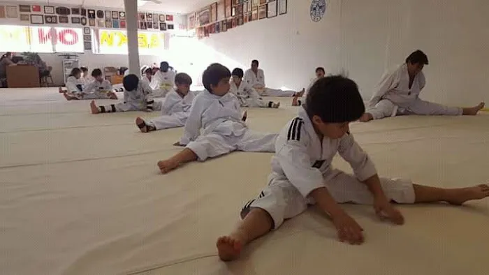 Palmetto Bay Taekwondo Center Picture 8