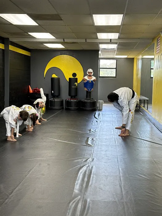 United Martial Arts Pinecrest Picture 4