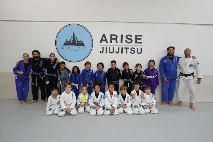 Arise Martial Arts Picture 6