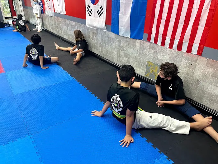 Shape Kids Taekwondo Academy Picture 1