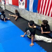 Shape Kids Taekwondo Academy ico