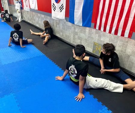 Shape Kids Taekwondo Academy
