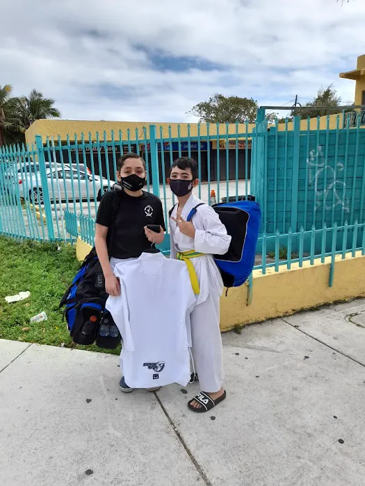 Shape Kids Taekwondo Academy Picture 5