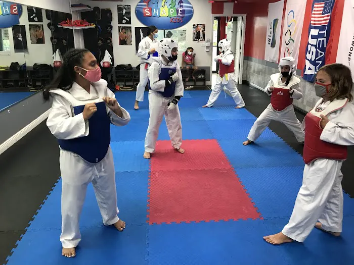 Shape Kids Taekwondo Academy Picture 8