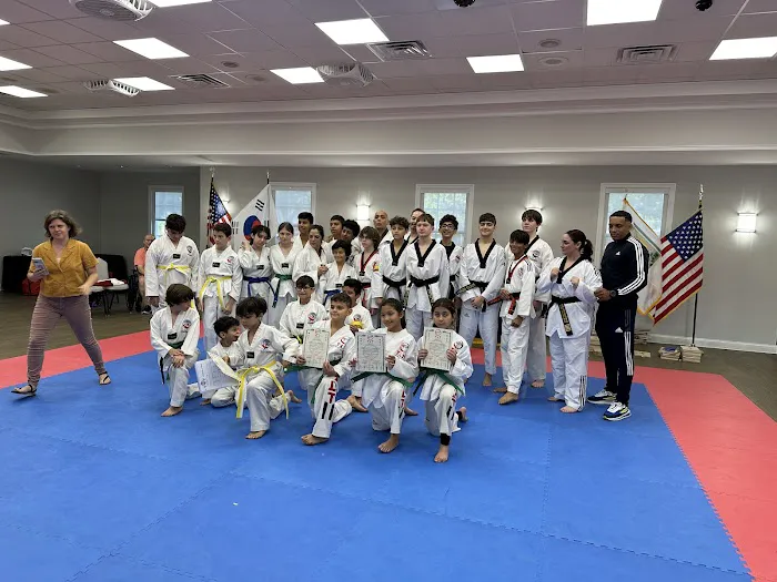 Top Level Taekwondo Miami Picture 2