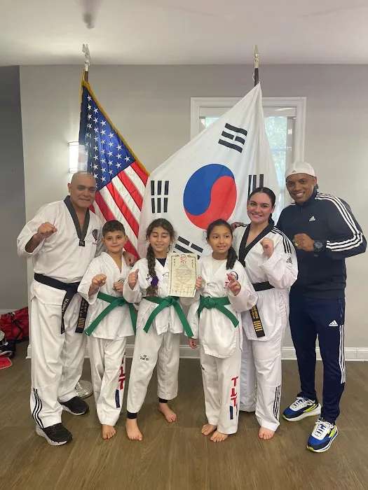 Top Level Taekwondo Miami Picture 1