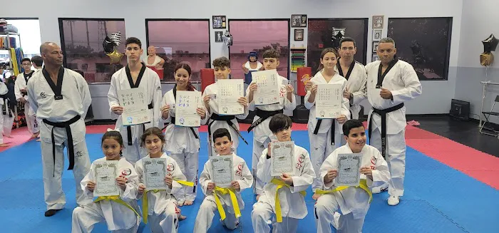 Top Level Taekwondo Miami Picture 3