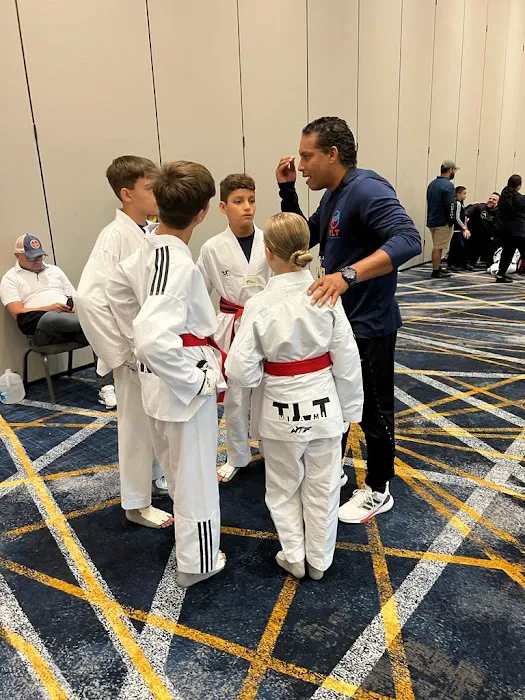 Top Level Taekwondo Miami Picture 4