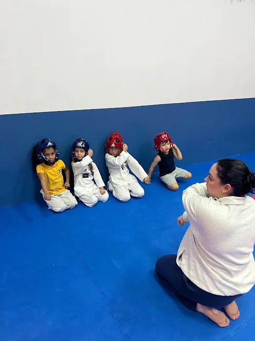 Top Level Taekwondo Miami Picture 7