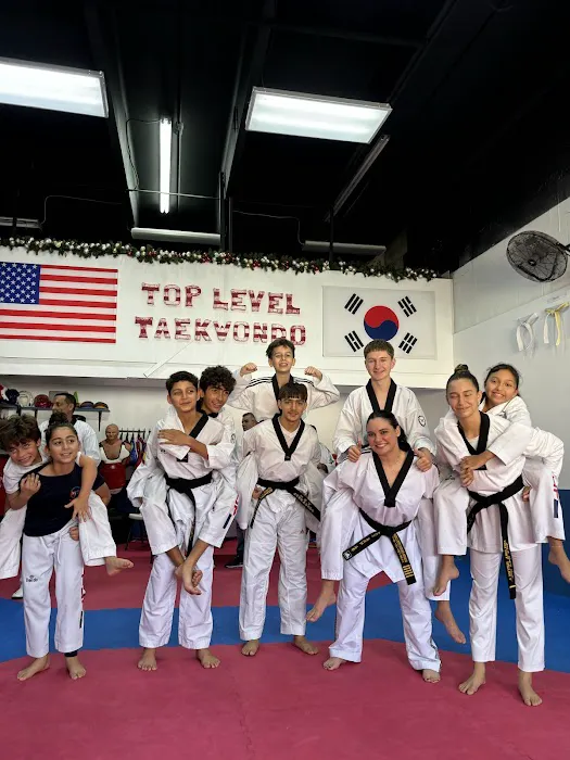 Top Level Taekwondo Miami Picture 8