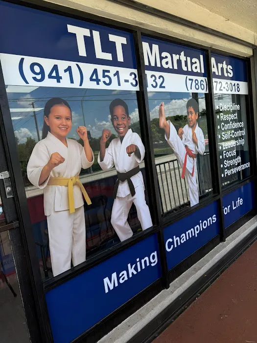 Top Level Taekwondo Miami Picture 6