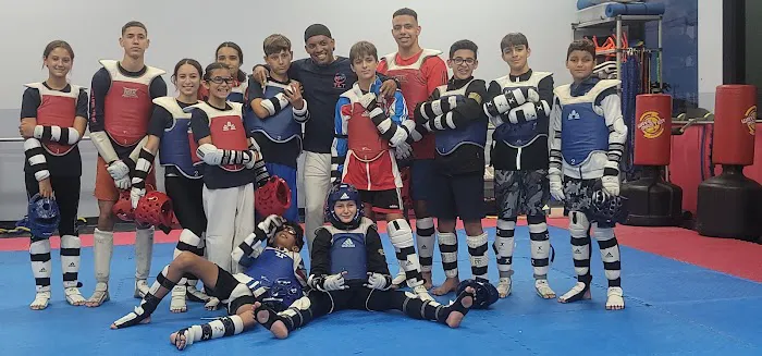 Top Level Taekwondo Miami Picture 9