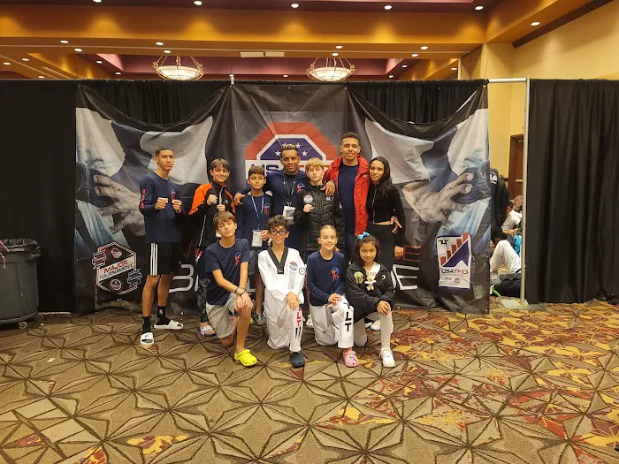 Top Level Taekwondo Miami Picture 10