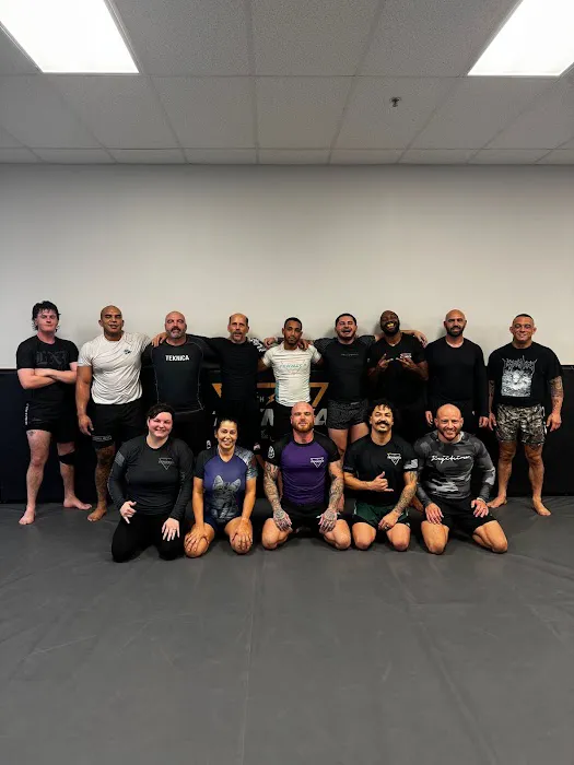 Teknica Martial Arts Picture 2