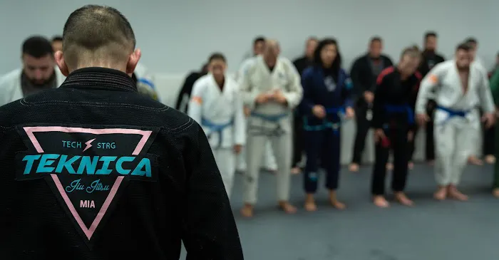 Teknica Martial Arts Picture 1