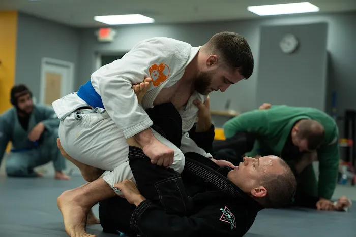 Teknica Martial Arts Picture 9