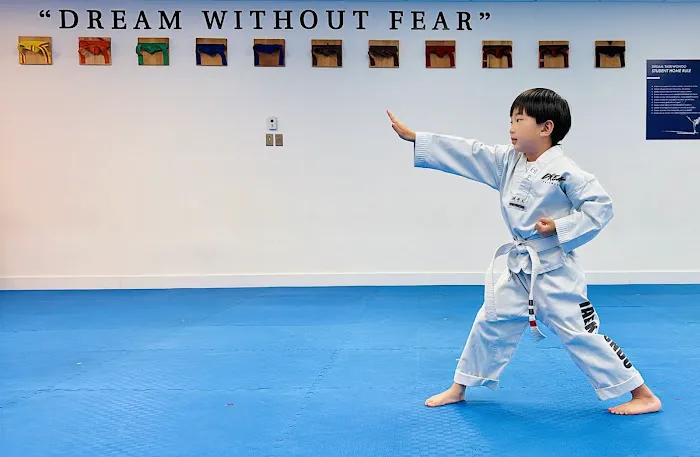 Dream Taekwondo Kendall Picture 1