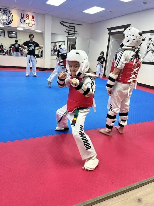 Dream Taekwondo Kendall Picture 3