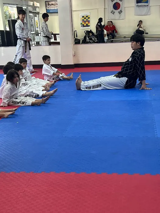 Dream Taekwondo Kendall Picture 5