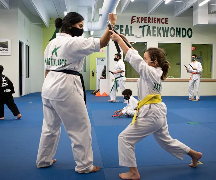K Martial Arts taekwondo Picture 3