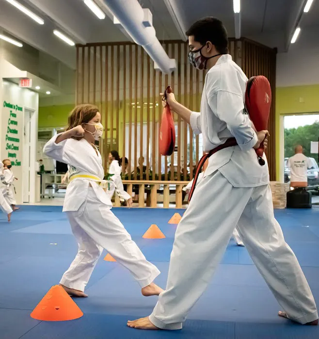 K Martial Arts taekwondo Picture 6