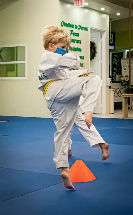 K Martial Arts taekwondo Picture 8