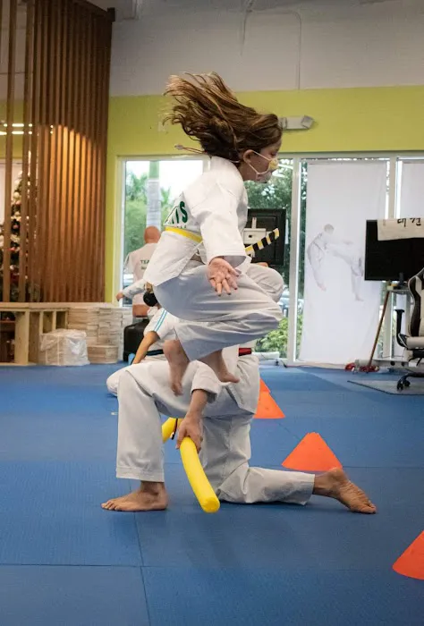 K Martial Arts taekwondo Picture 10