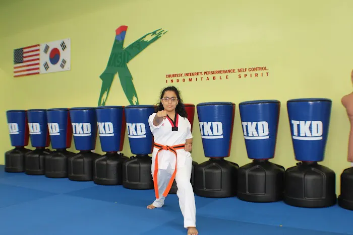 K Martial Arts taekwondo Picture 9
