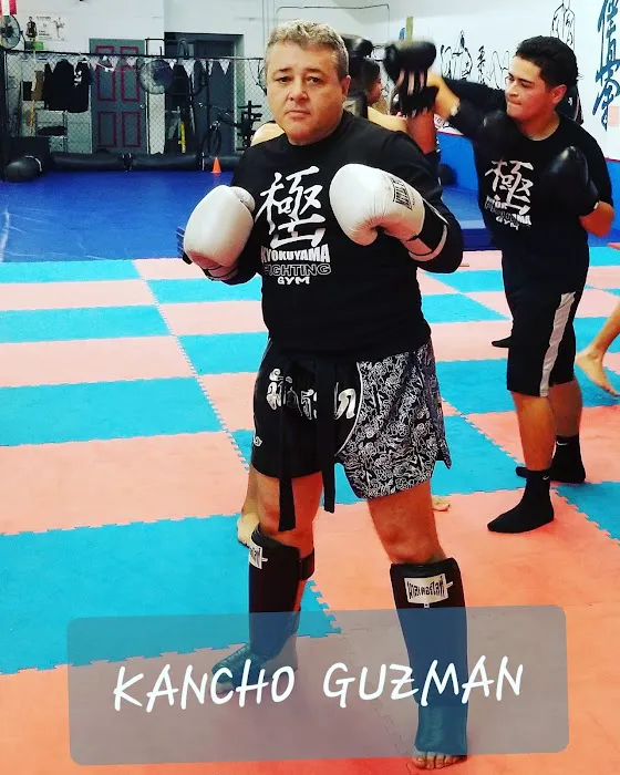 US Kyokushin Karate Fighting Gym Picture 2