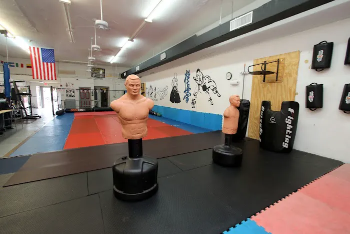 US Kyokushin Karate Fighting Gym Picture 3