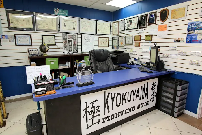 US Kyokushin Karate Fighting Gym Picture 7