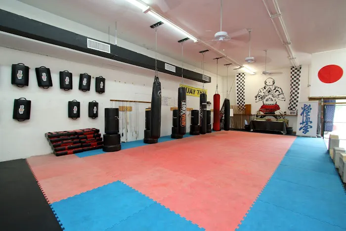 US Kyokushin Karate Fighting Gym Picture 6