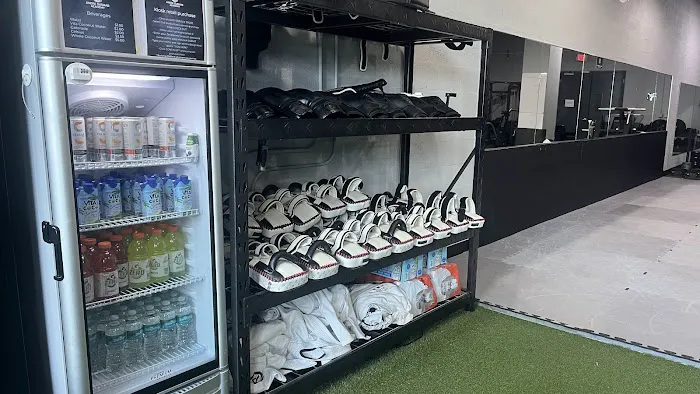 Andre Gusmao Academy Picture 3