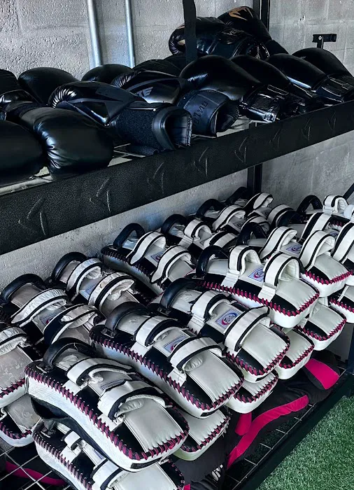 Andre Gusmao Academy Picture 7