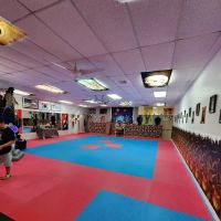 Family Taekwondo School ico