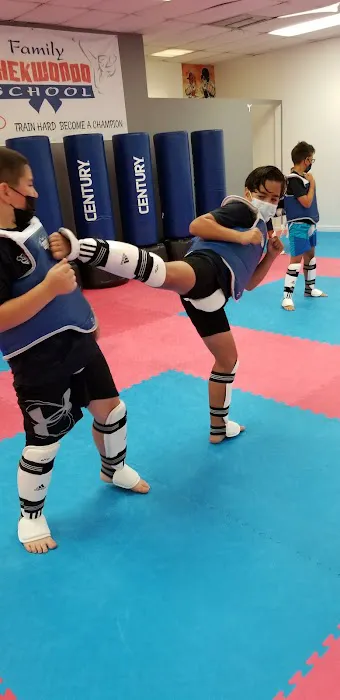 Family Taekwondo School Picture 2