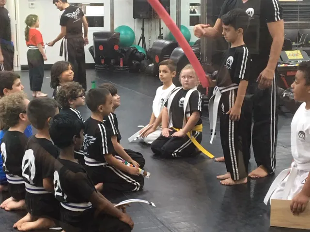 American Karate Institute Picture 2