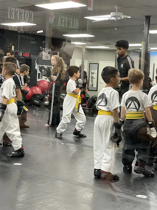 American Karate Institute Picture 1
