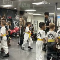 American Karate Institute ico