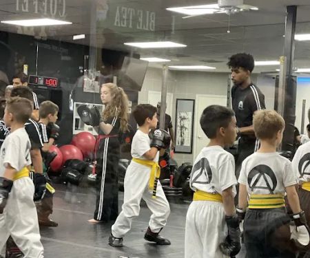 American Karate Institute