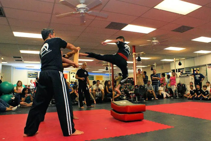 American Karate Institute Picture 8