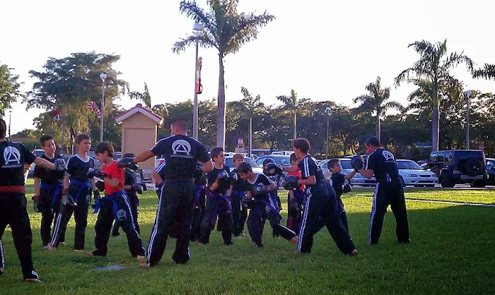 American Karate Institute Picture 9